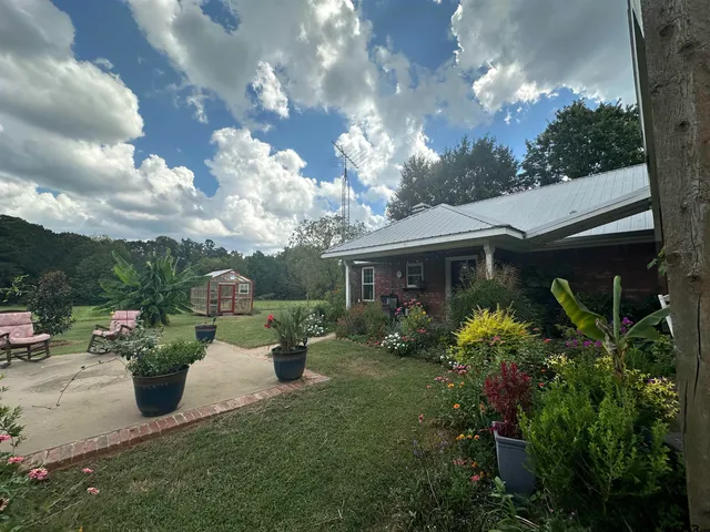 a view of a patio with chairs and plants