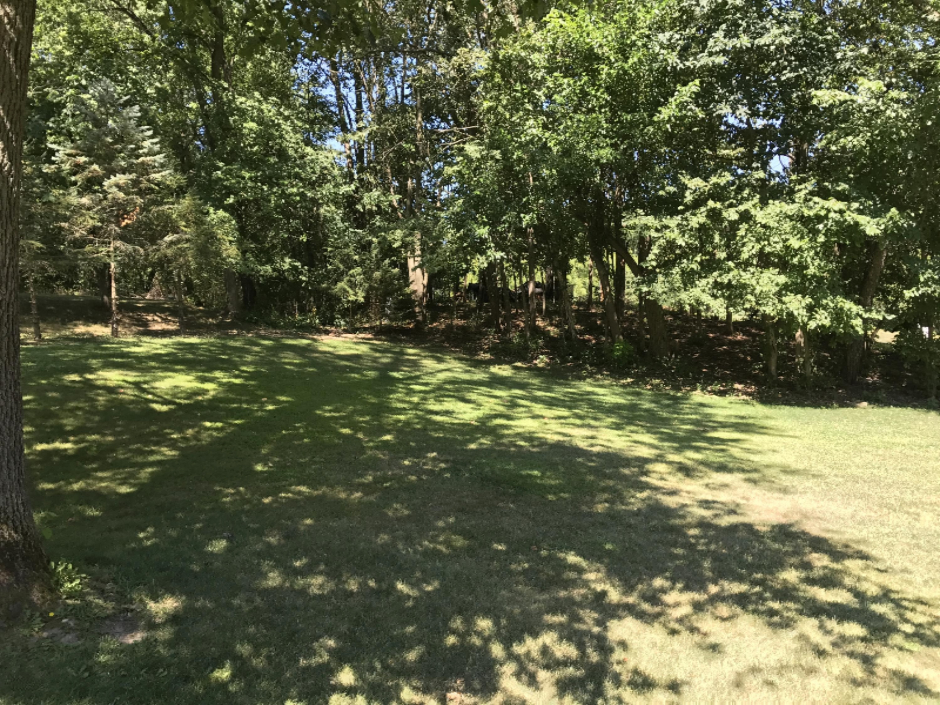 14722 Ridgeview Drive Three Rivers, MI 49093 - Photo 27 of 31 IMG_0055