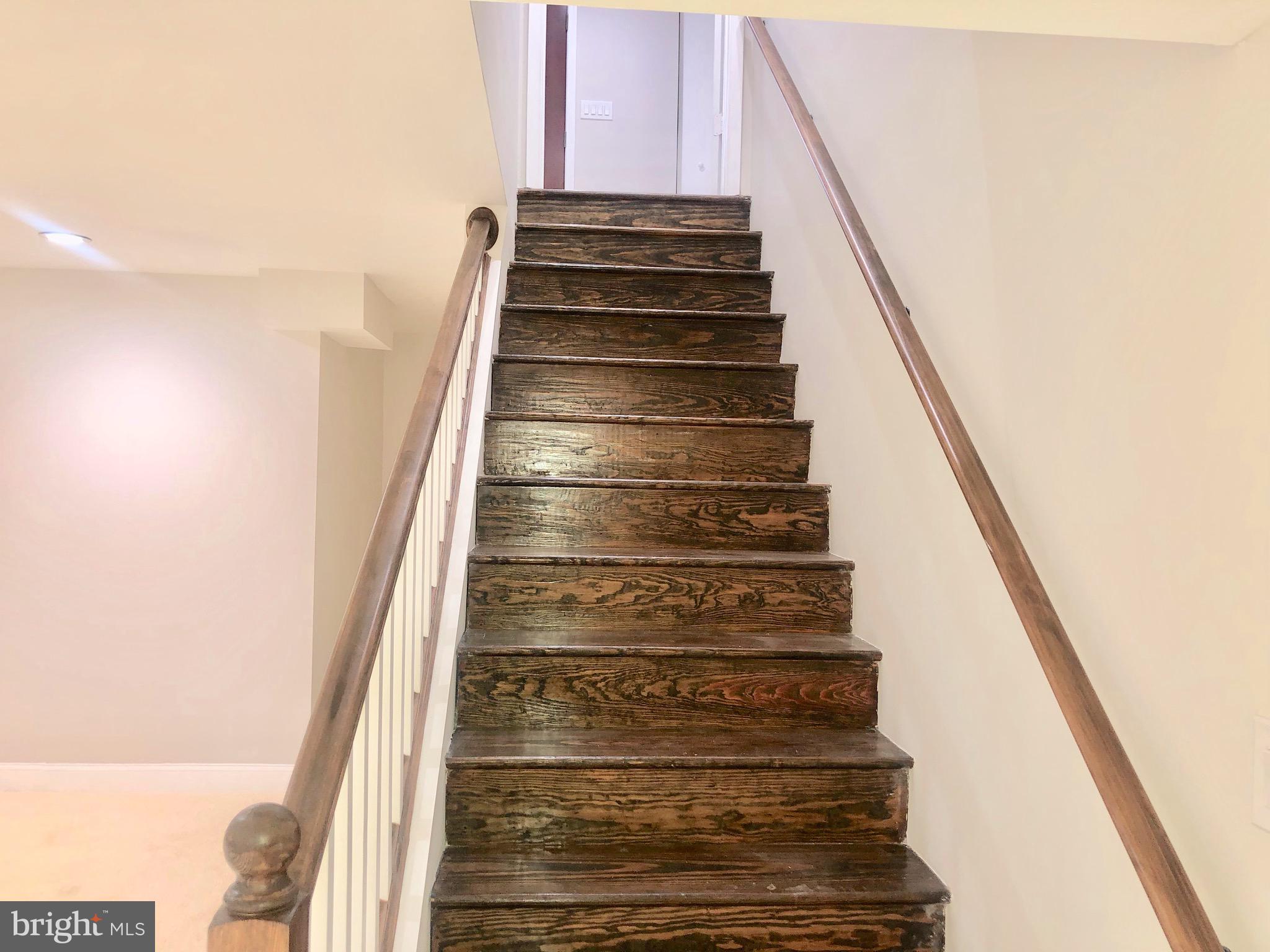 2112 Drury Road Silver Spring, MD 20906 - Photo 23 of 29 VIEW FROM BASEMENT