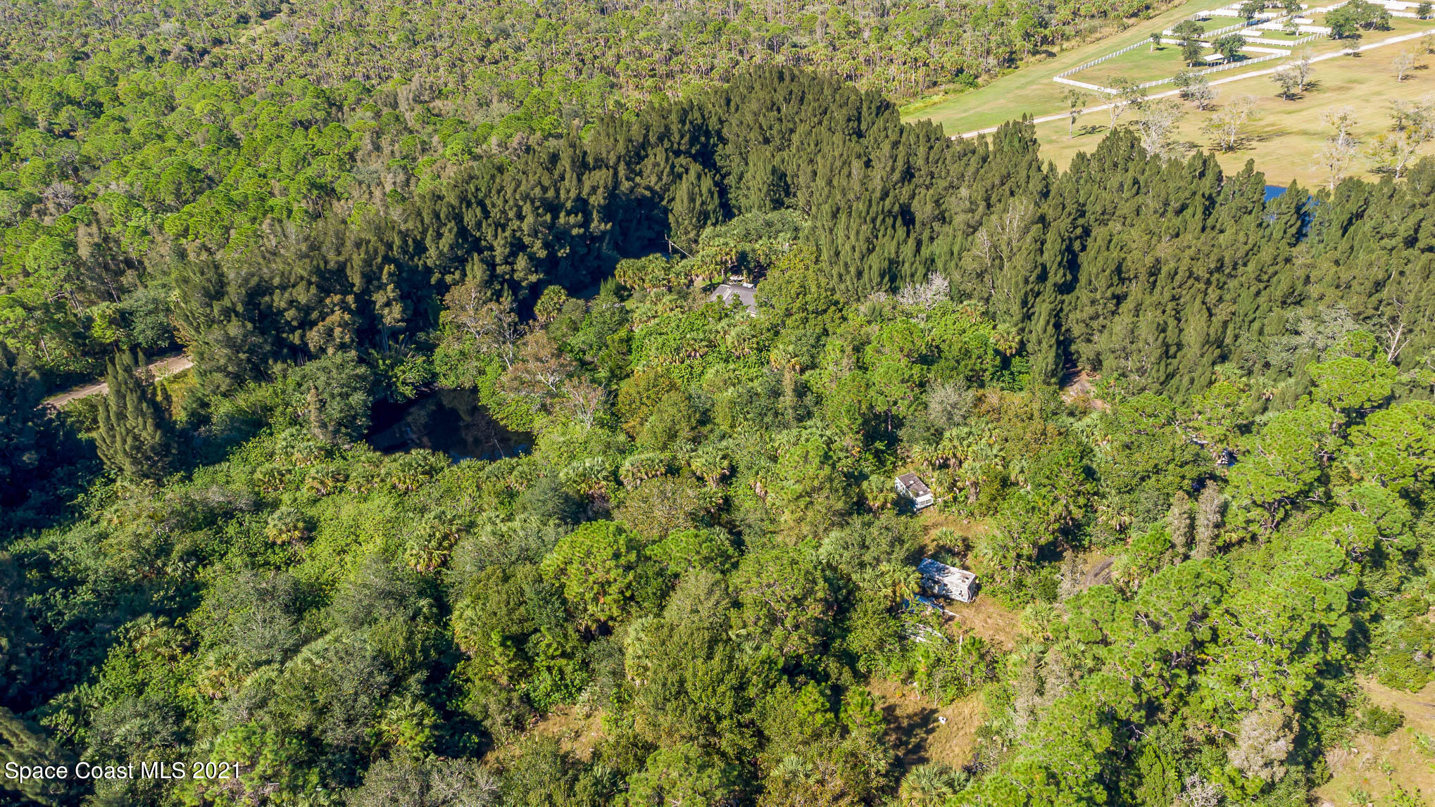 1717 Jones Road Melbourne, FL 32934 - Photo 12 of 20 a view of a lush green forest with lots of trees