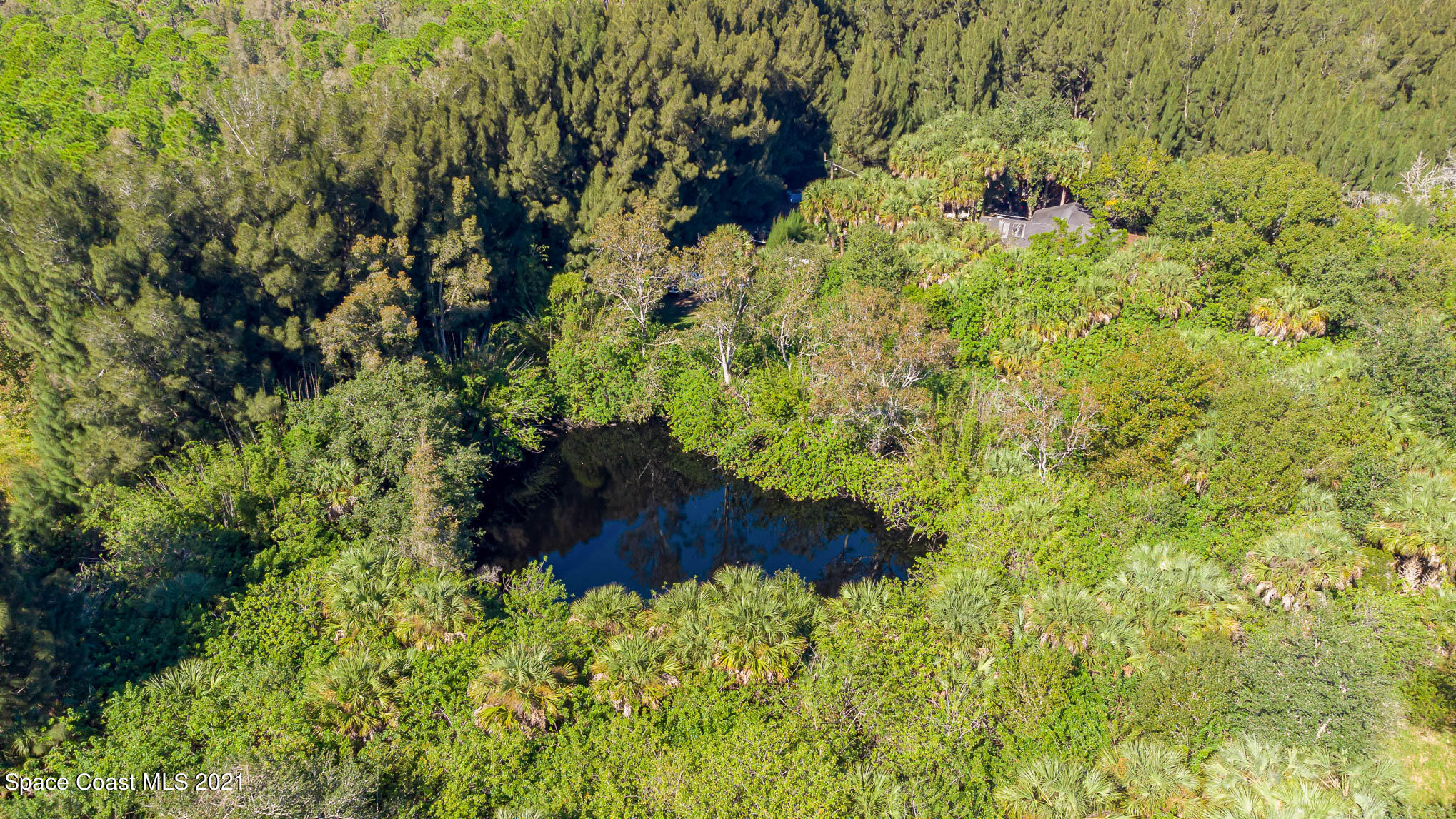 1717 Jones Road Melbourne, FL 32934 - Photo 13 of 20 a view of a garden