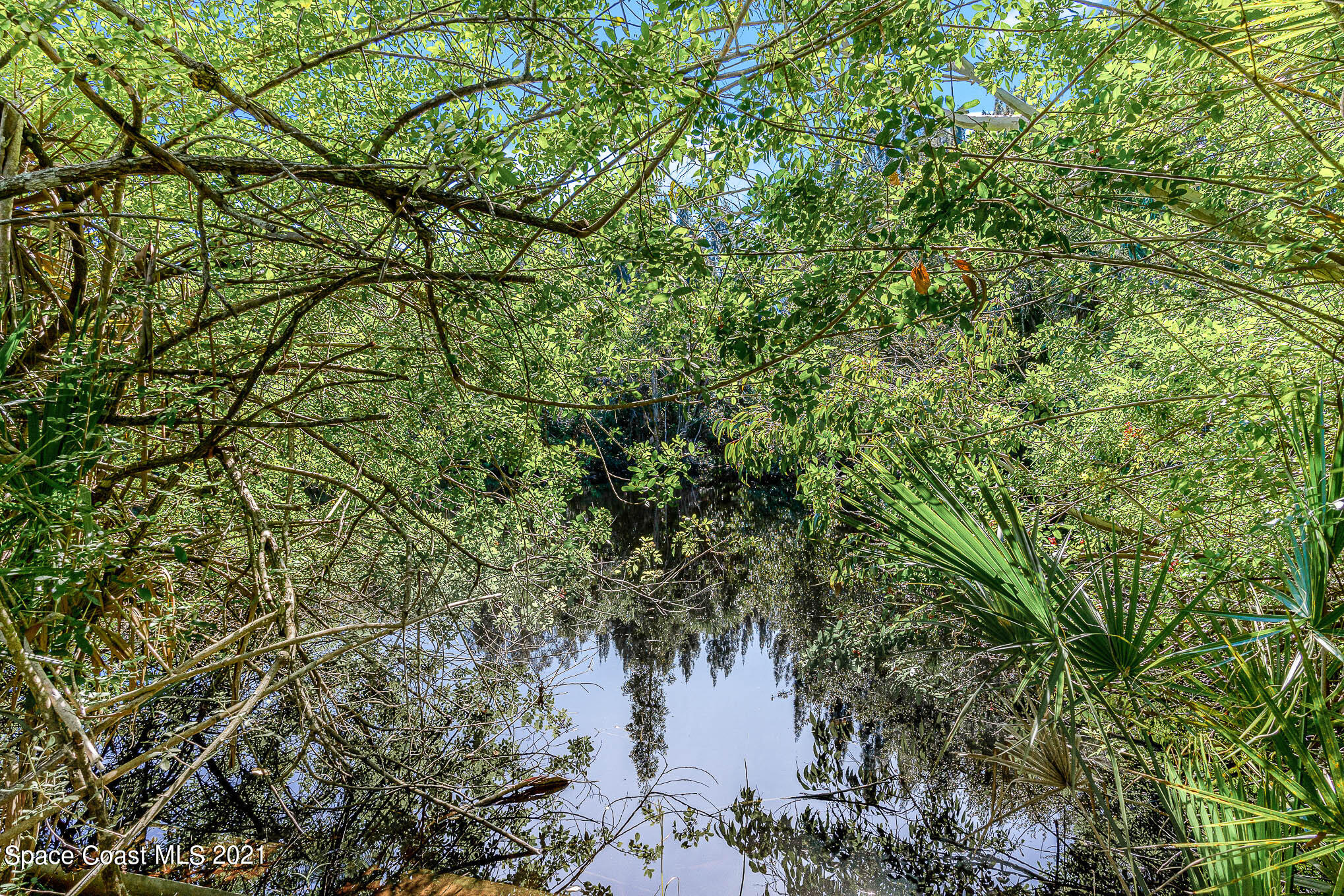 1717 Jones Road Melbourne, FL 32934 - Photo 14 of 20 a view of a tree in a garden