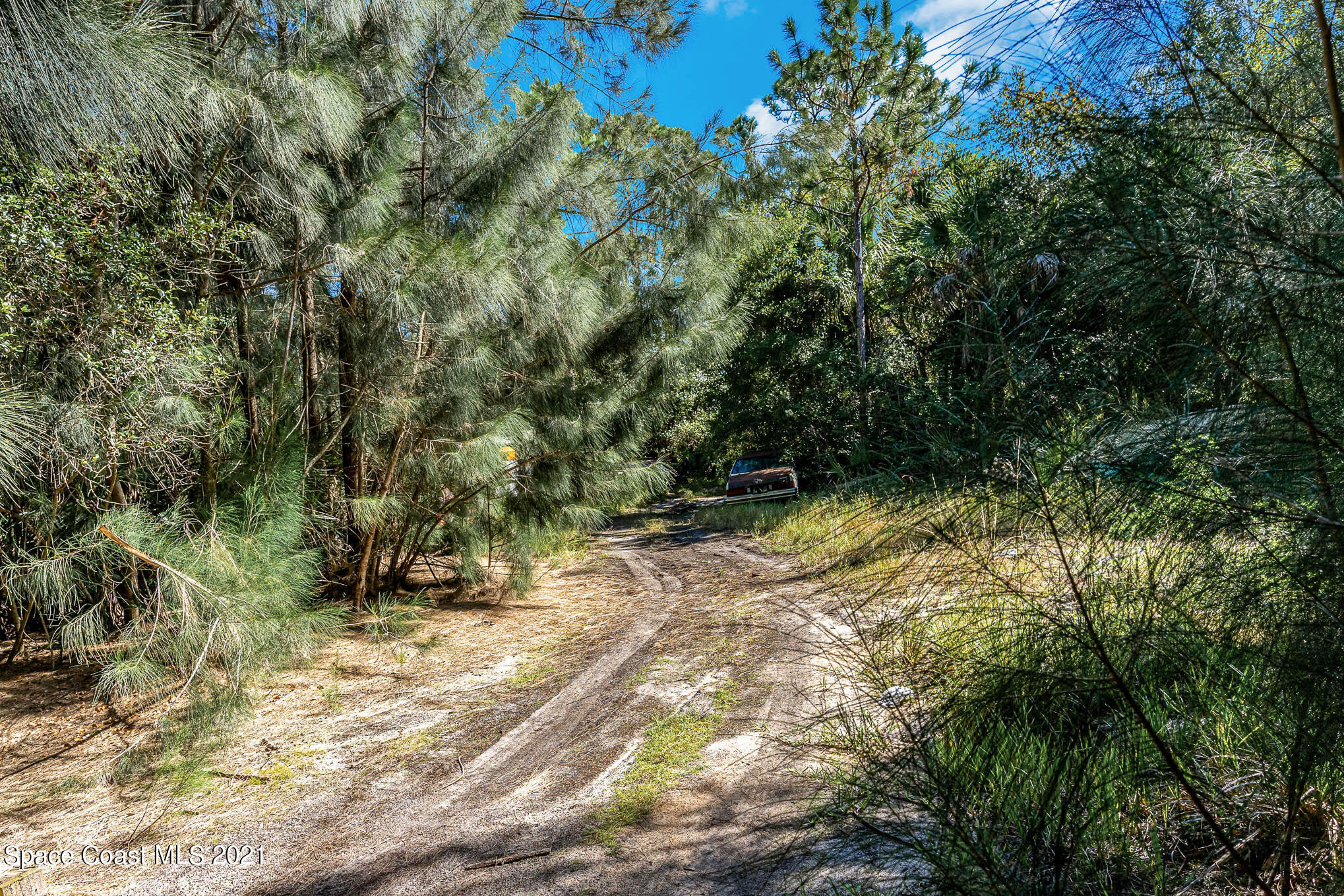 1717 Jones Road Melbourne, FL 32934 - Photo 15 of 20 a view of backyard with green space