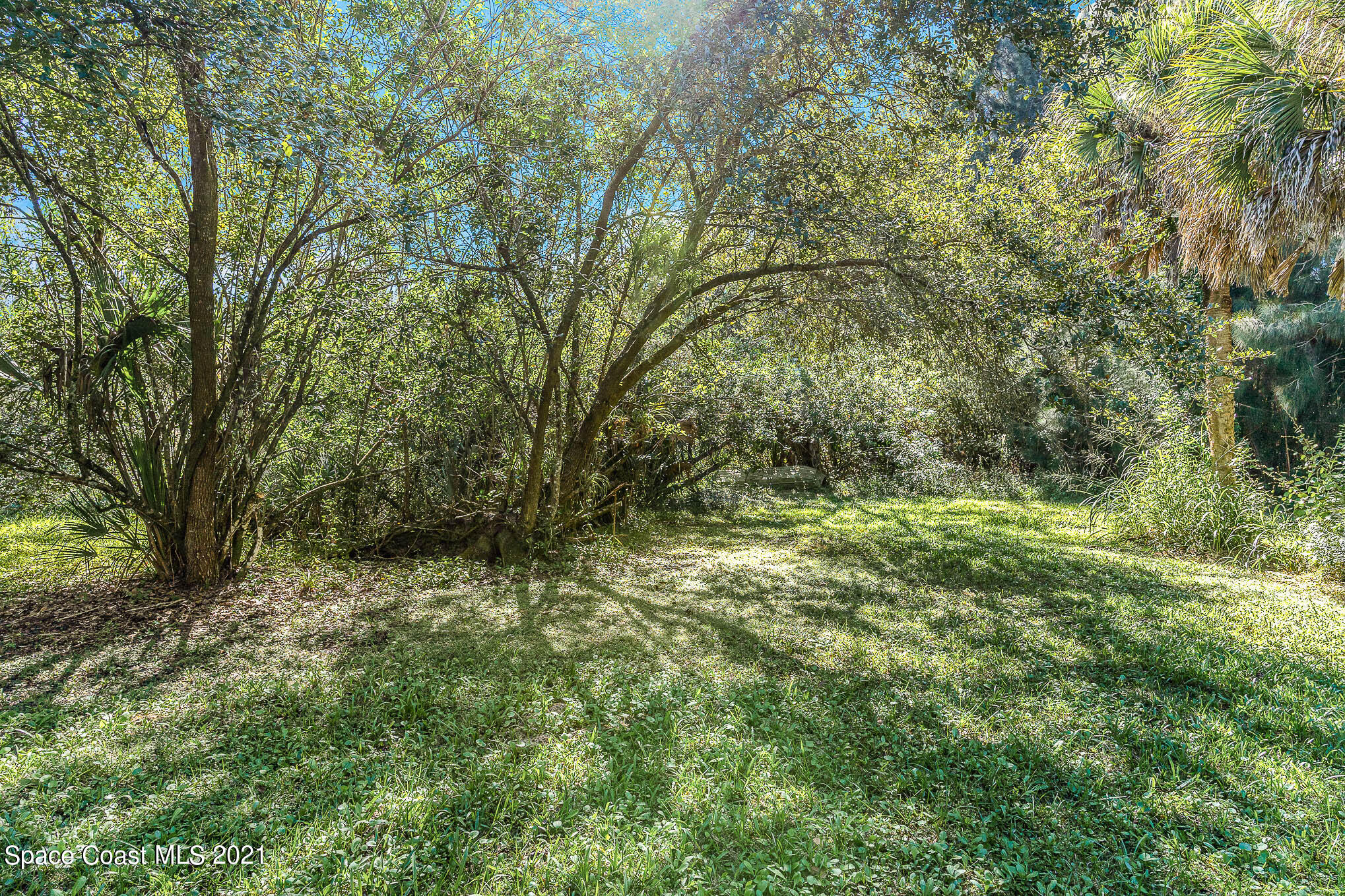 1717 Jones Road Melbourne, FL 32934 - Photo 18 of 20 a big yard with lots of green space and house in the back