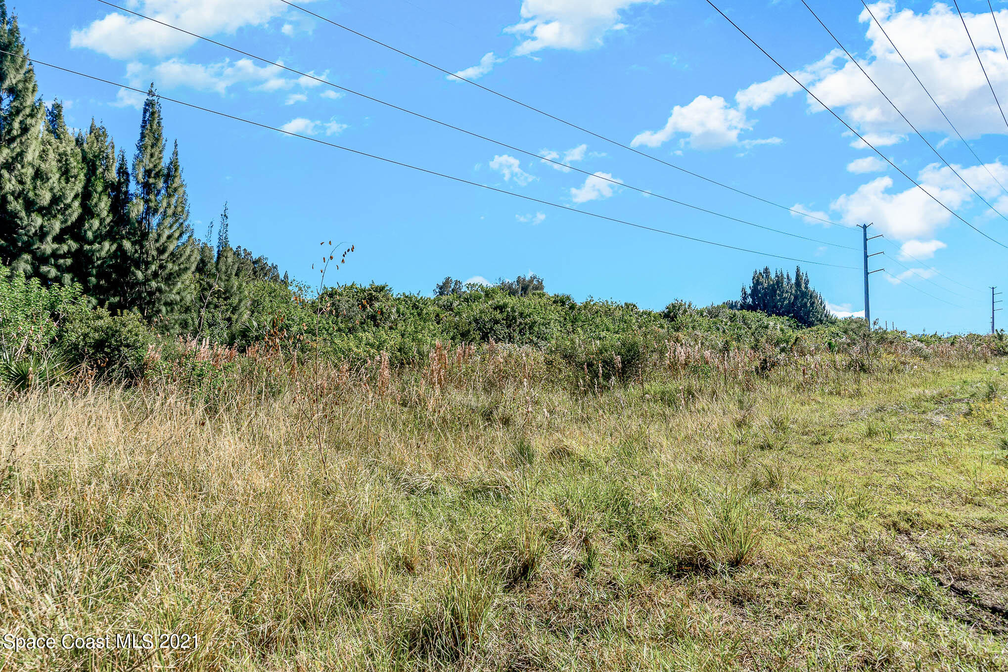 1717 Jones Road Melbourne, FL 32934 - Photo 19 of 20 a view of a big yard