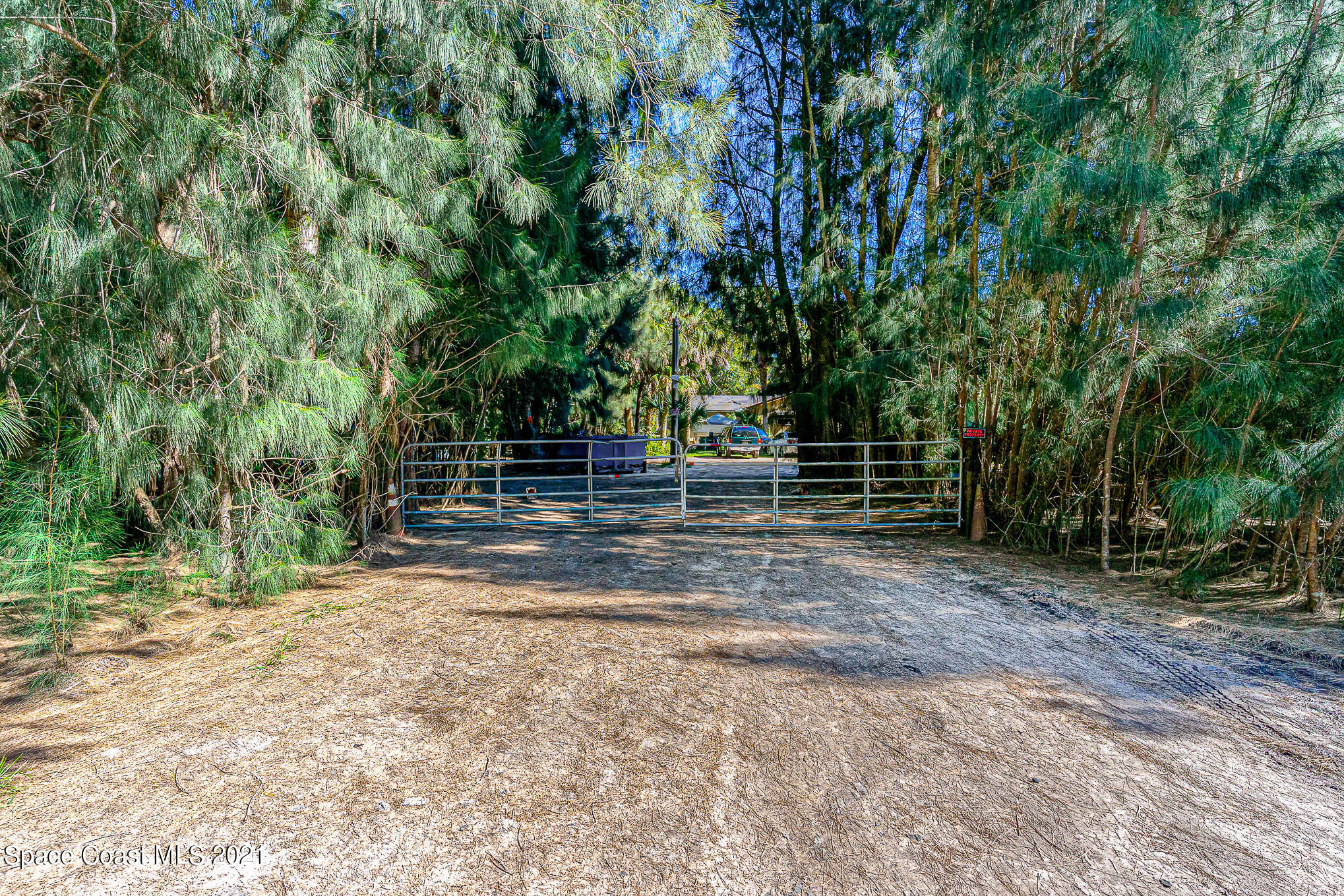 1717 Jones Road Melbourne, FL 32934 - Photo 3 of 20 a view of backyard with green space