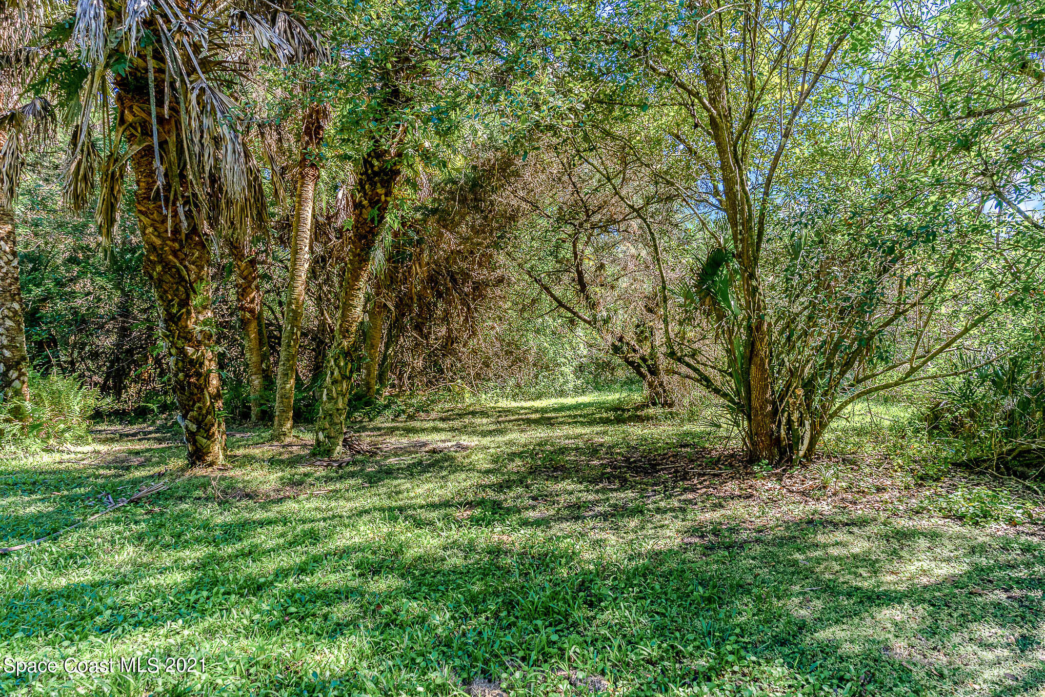 1717 Jones Road Melbourne, FL 32934 - Photo 4 of 20 a backyard of a house with lots of green space