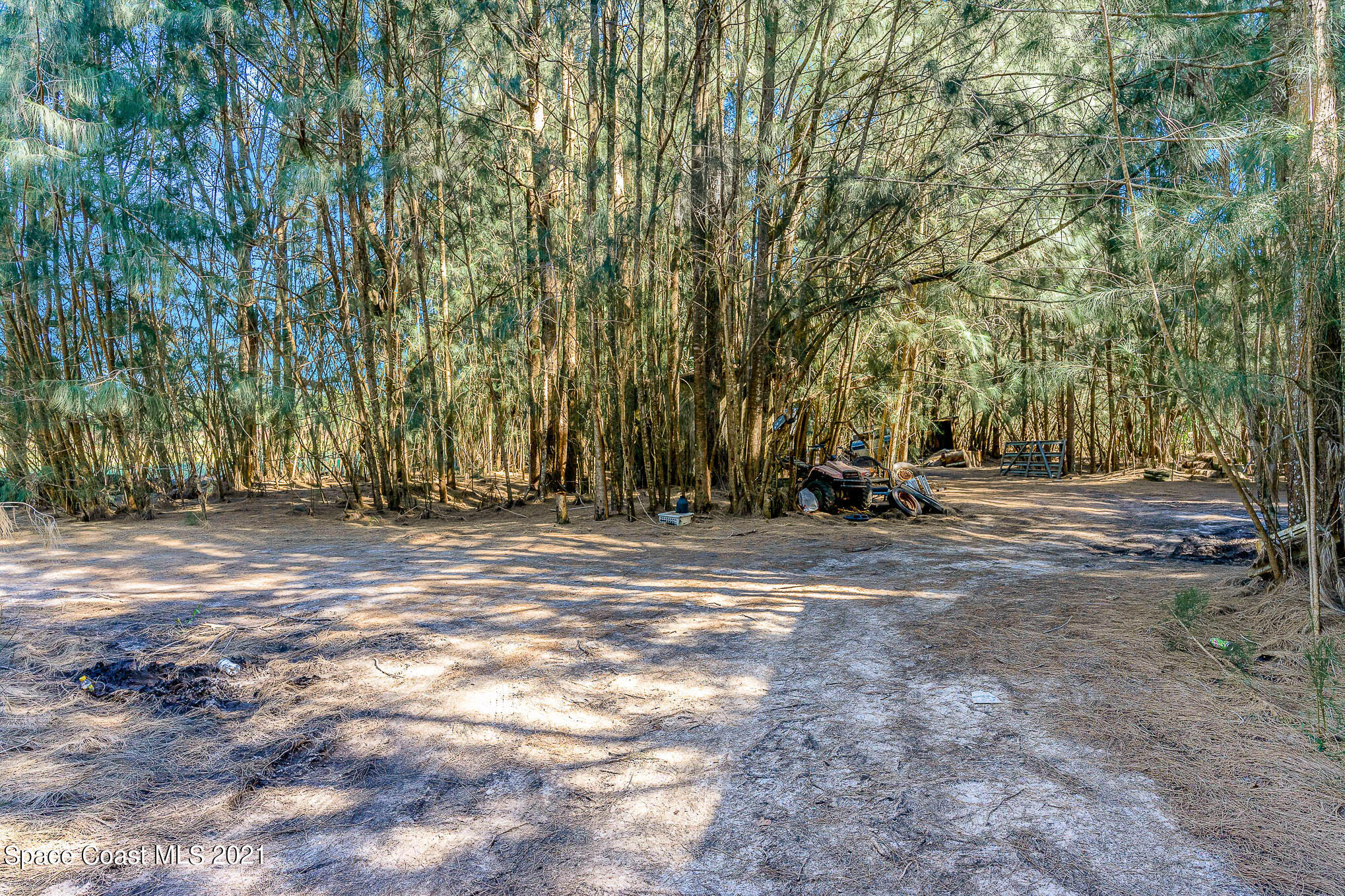 1717 Jones Road Melbourne, FL 32934 - Photo 9 of 20 a view of outdoor space with playground and green space