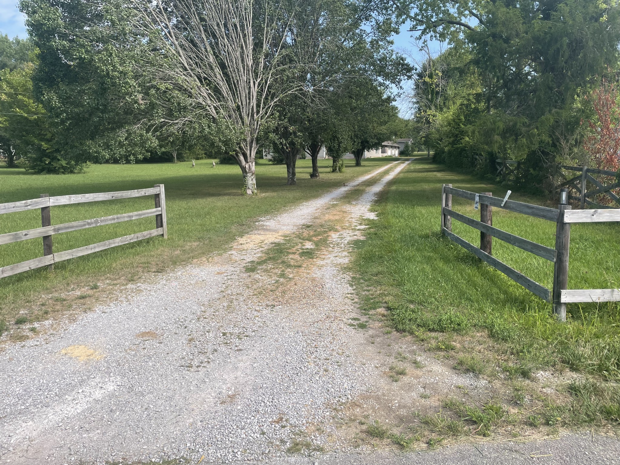 1799 Ragsdale Road Manchester, TN 37355 - Photo 2 of 17 a view of a park with large trees