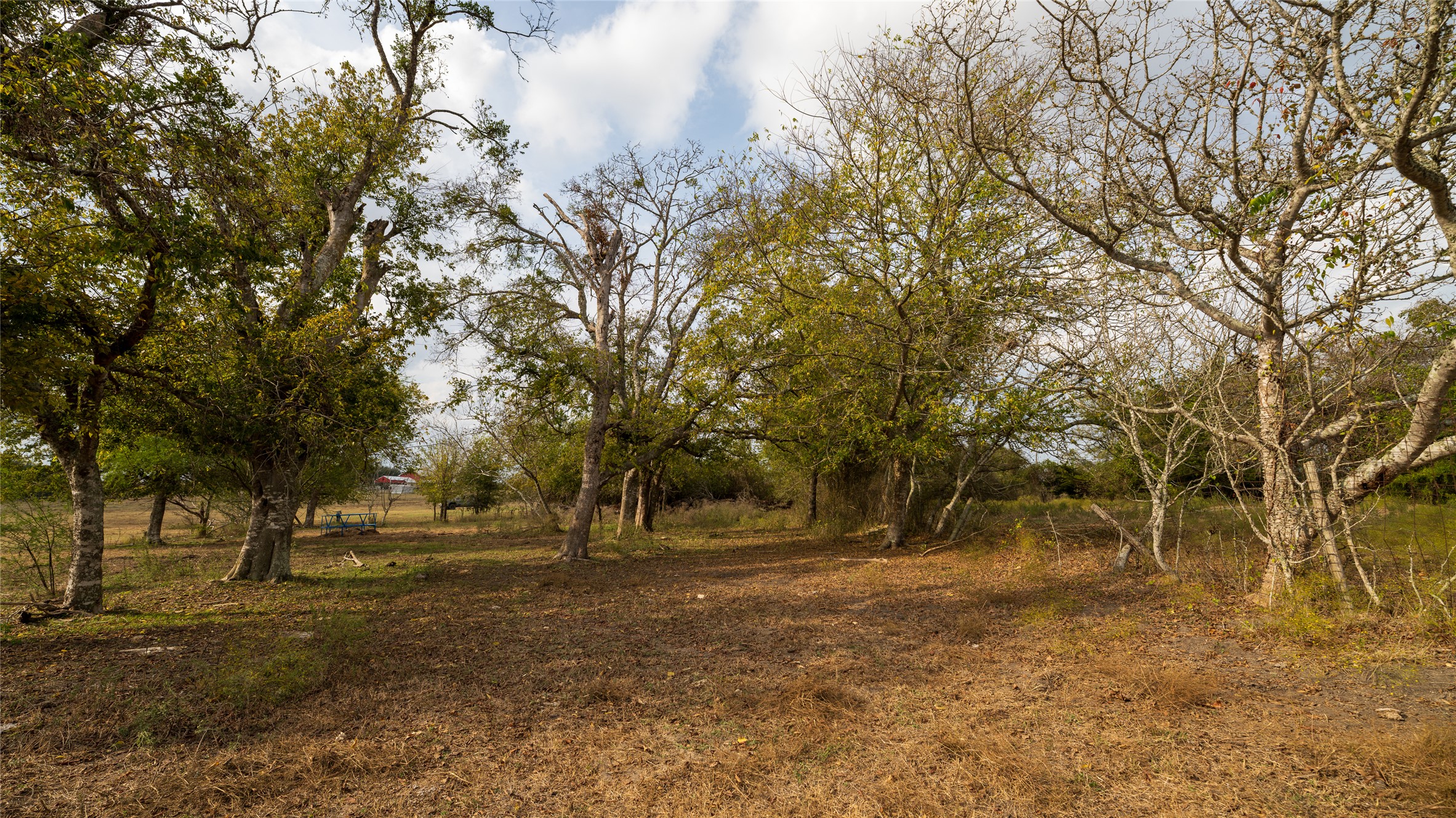 4646 FM 2679 Road Burton, TX 77835 - Photo 18 of 34 a view of outdoor space with trees