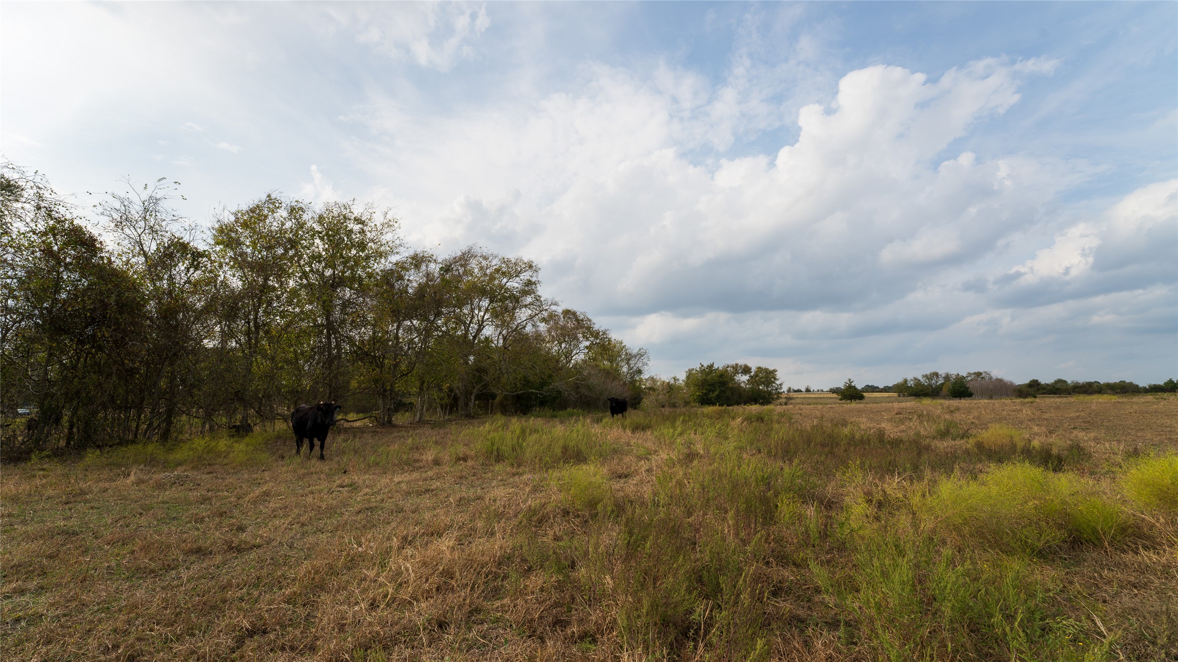 4646 FM 2679 Road Burton, TX 77835 - Photo 28 of 34 a view of a lake with houses in the back