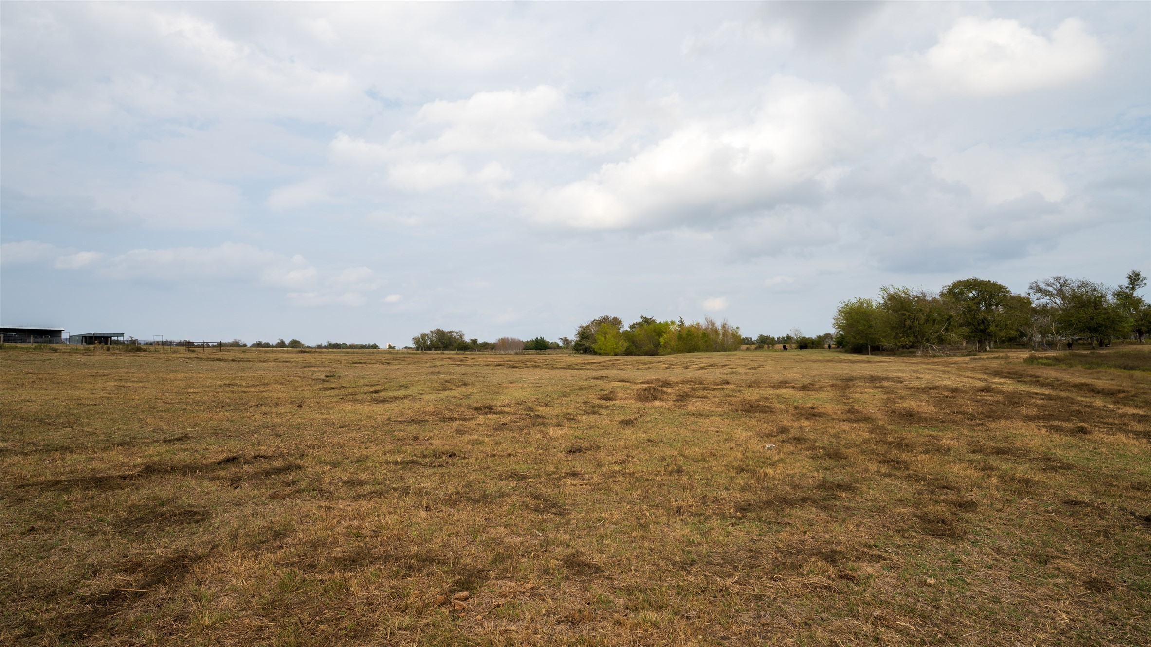 4646 FM 2679 Road Burton, TX 77835 - Photo 6 of 34 a view of lake