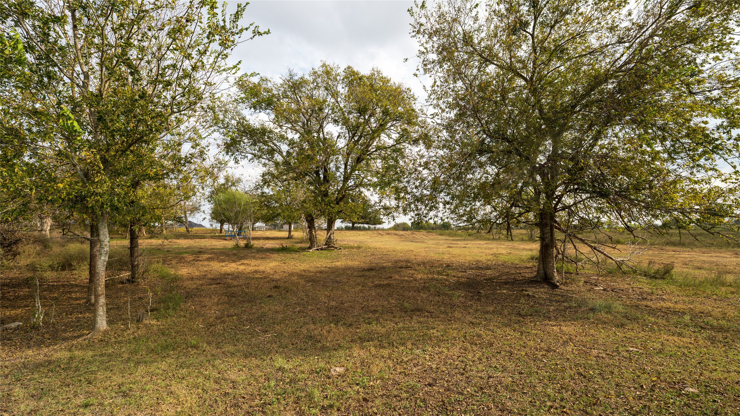 4646 FM 2679 Road Burton, TX 77835 - Photo 7 of 34 a view of yard with trees