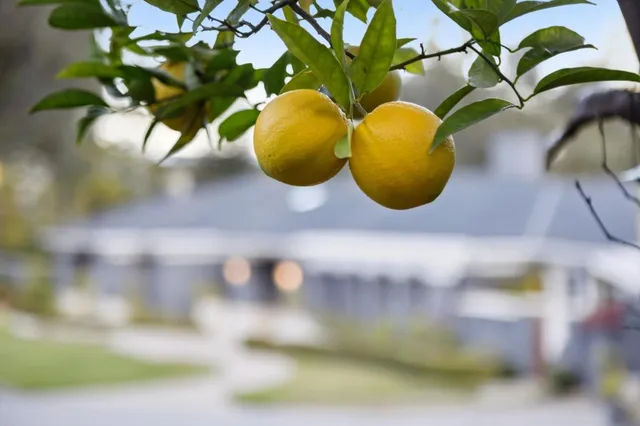 $9,600,000 | 16140 Matilija Drive, Los Gatos, CA 95030