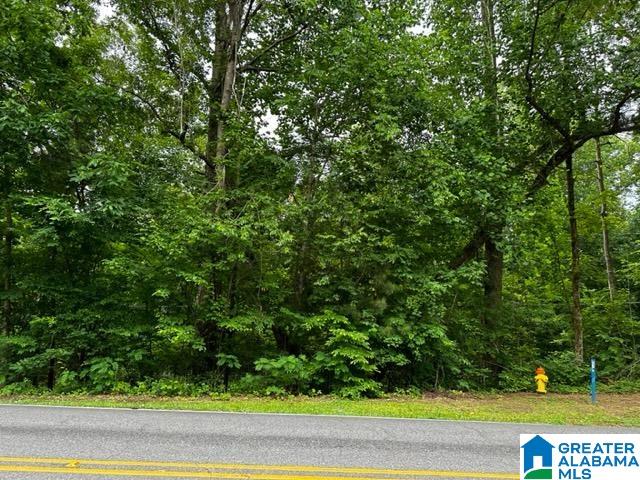 749 North Main Street, Unit 1 Graysville, AL 35073 - Photo 2 of 4