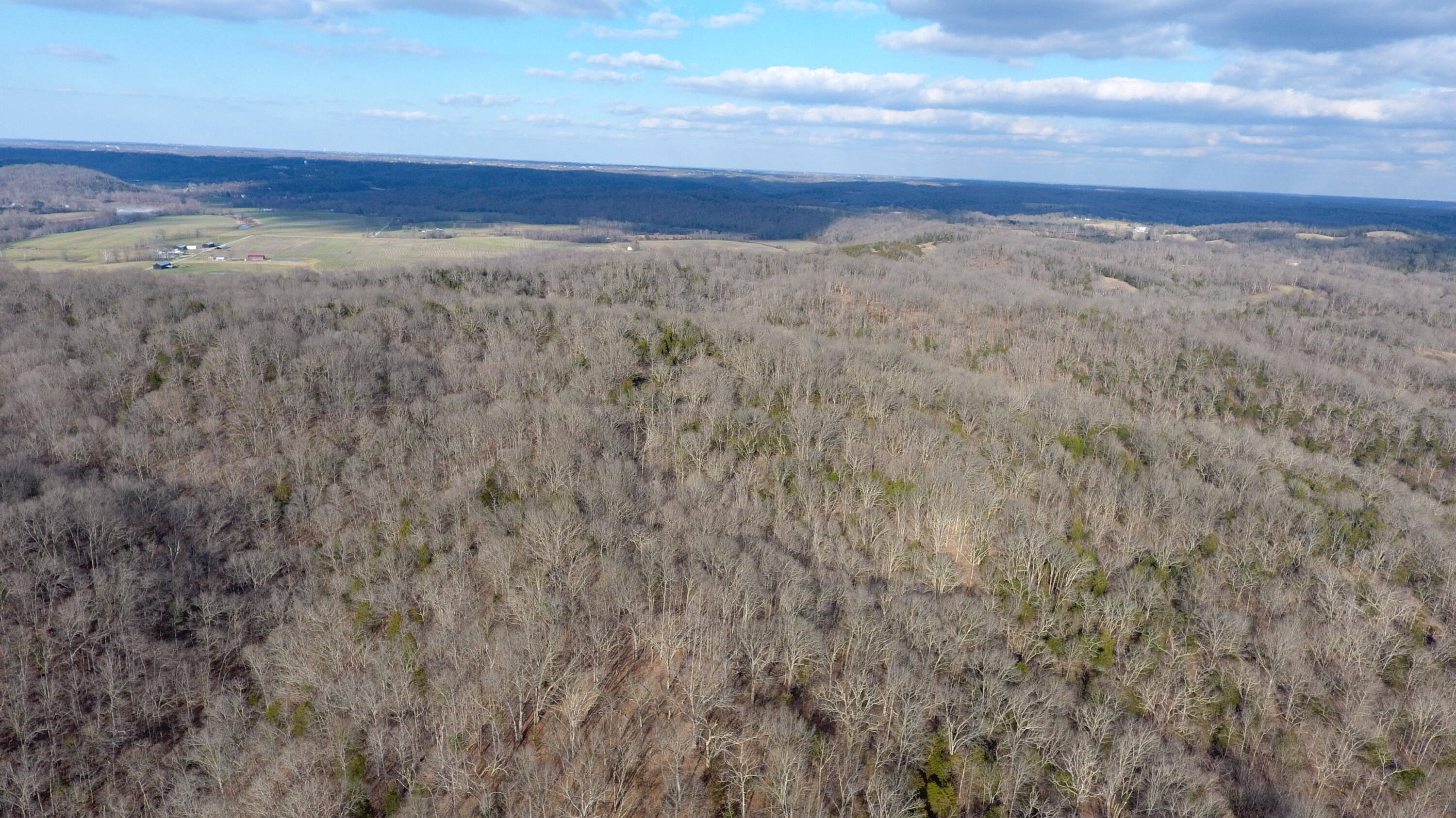 0 Point Of Rock Road Owenton, KY 40359 - Photo 16 of 20 Gallery Image 16