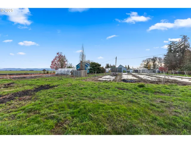 a view of a green field