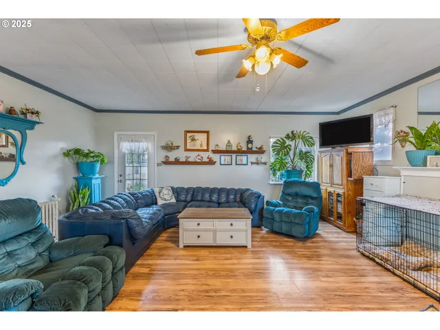 a living room with furniture and a couch