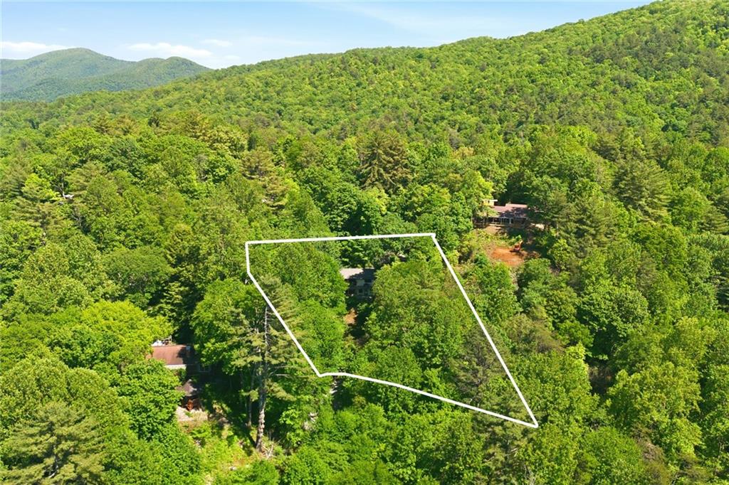 46 Spartan Lane Rabun Gap, GA 30568 - Photo 72 of 89 a view of a lush green forest with a mountain