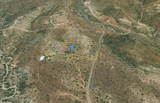 a close up of a plant