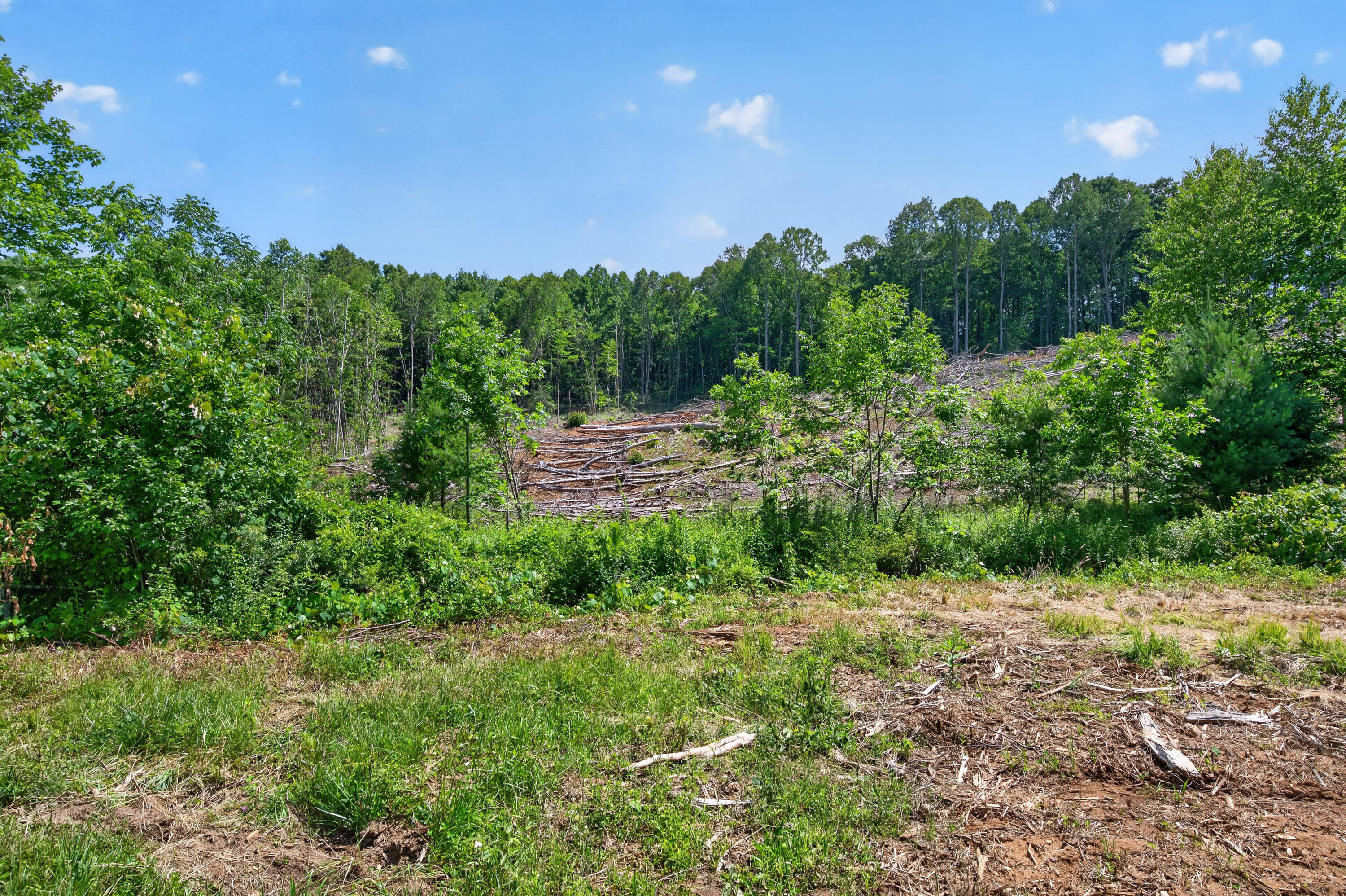 6196 Chances Creek Road Fancy Gap, VA 24328 - Photo 53 of 78 54