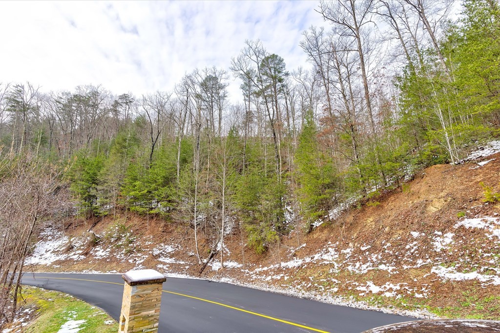 61 Whetstone Road Sevierville, TN 37862 - Photo 27 of 34 Gallery Image 27