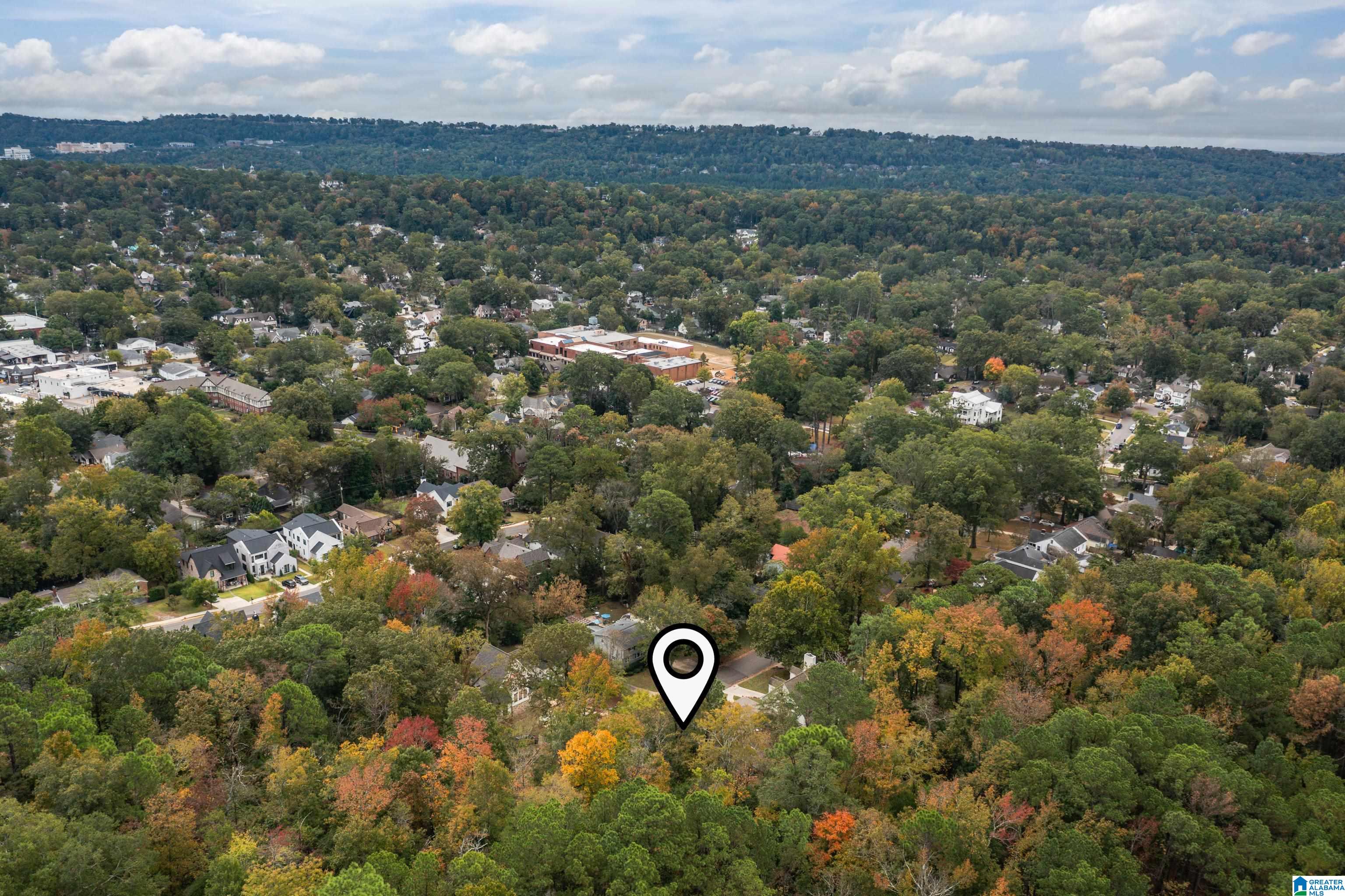 210 Edgeview Avenue Birmingham, AL 35209 - Photo 8 of 93