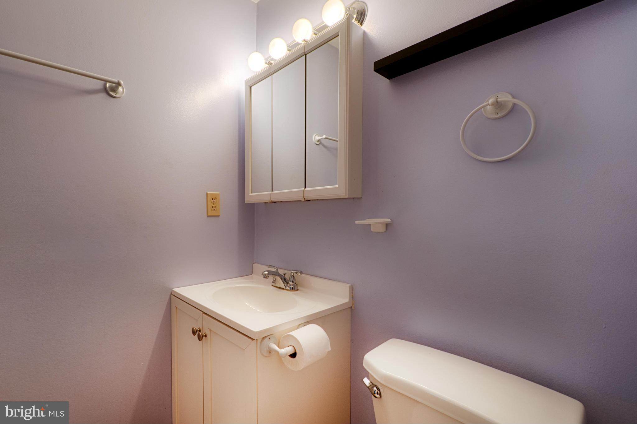 176 Rowlandsville Road Conowingo, MD 21918 - Photo 14 of 29 Bath