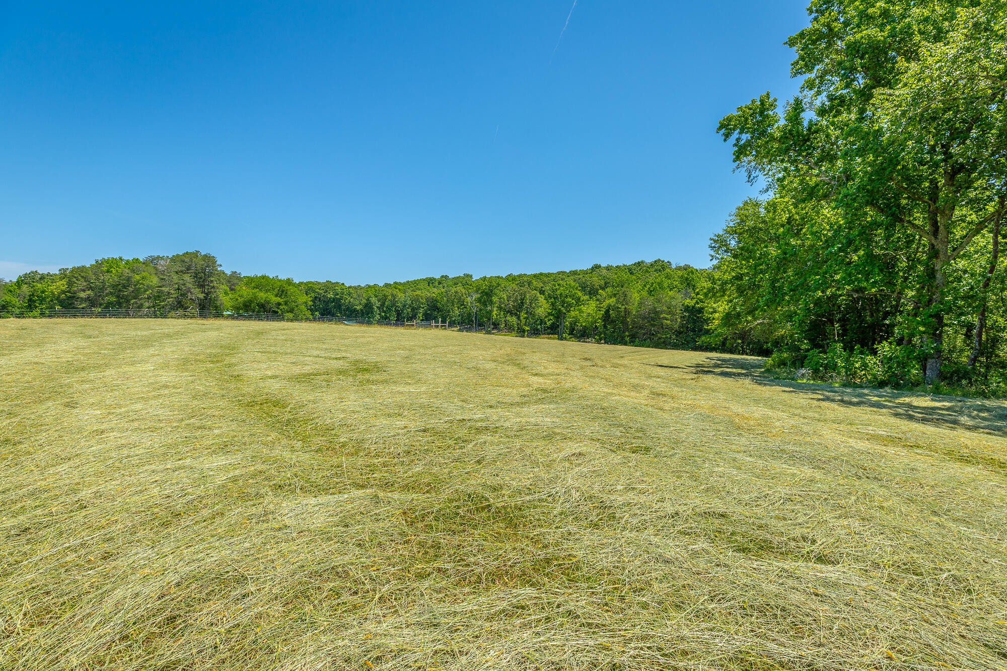 1655 West Cove Road Chickamauga, GA 30707 - Photo 39 of 62 Gallery Image 39
