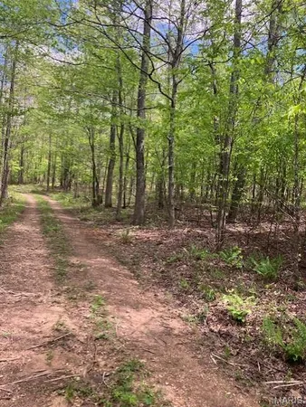 $33,995 | 223 Madison Cr, Fredericktown, MO 63645