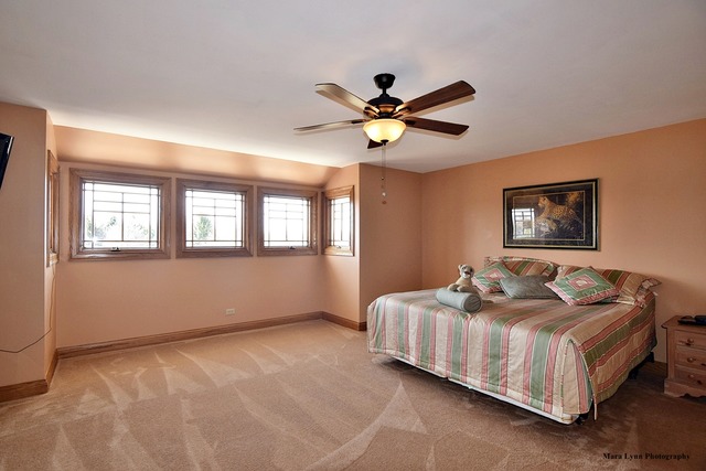 32W546 Rochefort Lane Wayne, IL 60184 - Photo 14 of 25 a bedroom with bed and a window