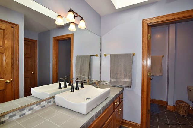 32W546 Rochefort Lane Wayne, IL 60184 - Photo 16 of 25 a bathroom with a sink and a mirror