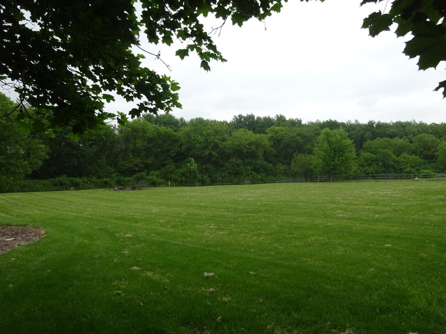 32W546 Rochefort Lane Wayne, IL 60184 - Photo 23 of 25 a view of field with trees in the background