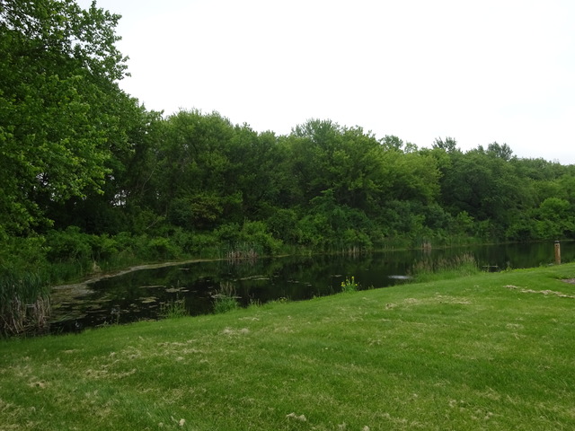 32W546 Rochefort Lane Wayne, IL 60184 - Photo 24 of 25 a view of a lush green field