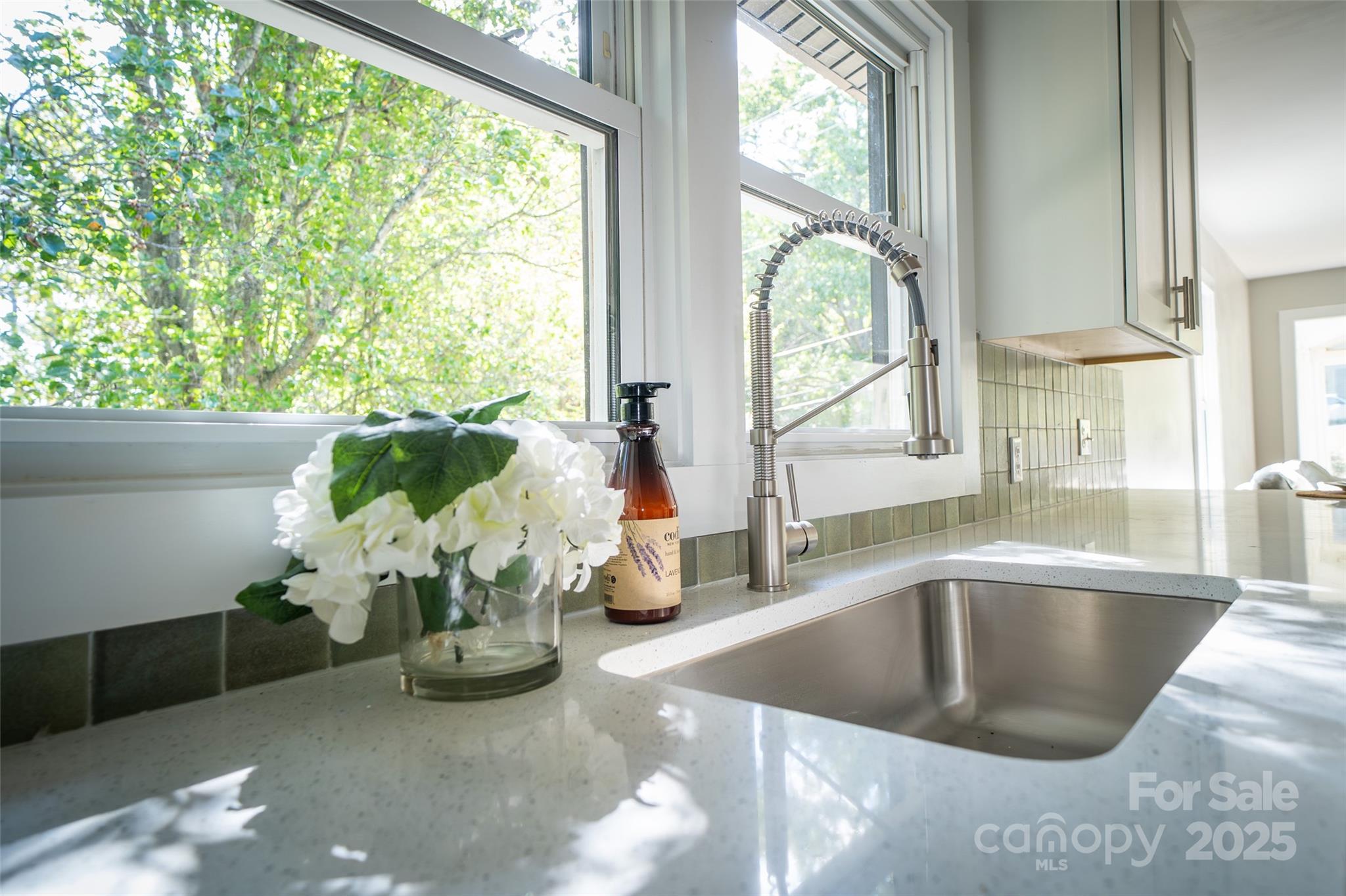 300 Pisgah View Road Asheville, NC 28806 - Photo 13 of 29 a kitchen with a faucet a potted plant and a counter top space