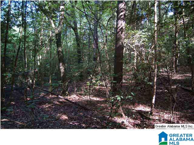 79 Northwest County Road, Unit 50 67 Prattville, AL 36067 - Photo 7 of 13