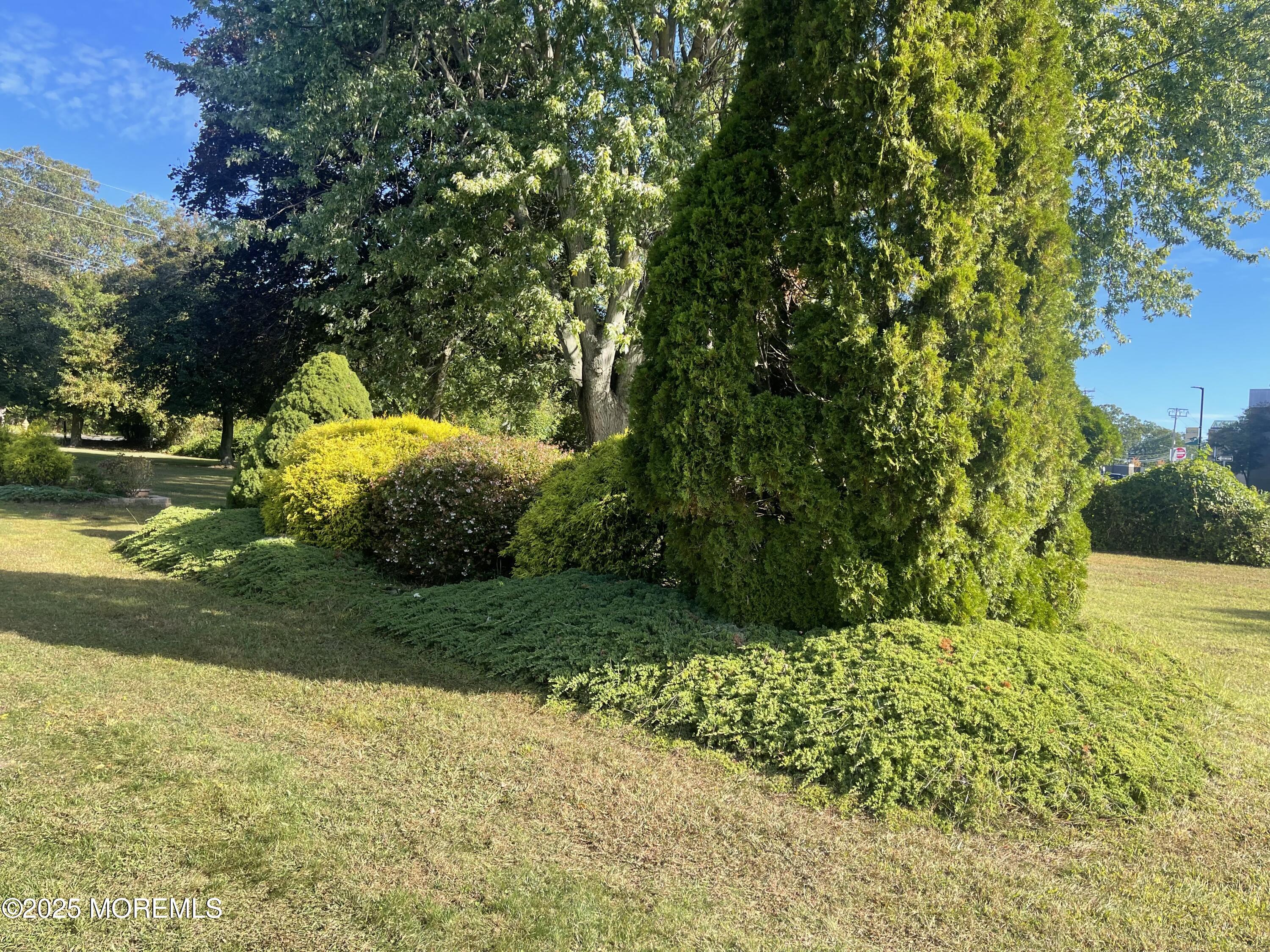 2023 Lanes Mill Road Brick, NJ 08724 - Photo 11 of 40 a view of a garden with an outdoor space
