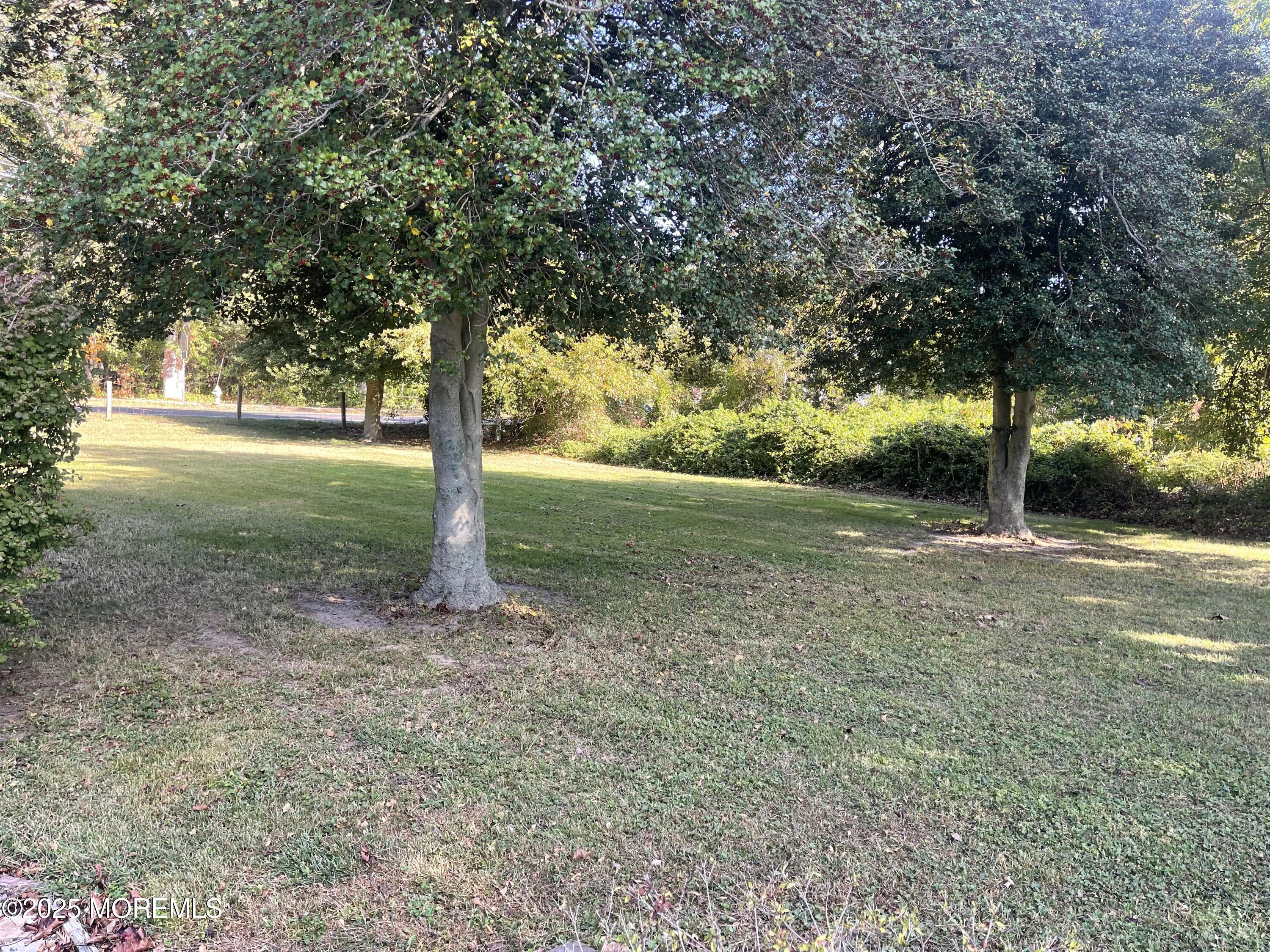 2023 Lanes Mill Road Brick, NJ 08724 - Photo 12 of 40 a view of a tree in the middle of a yard