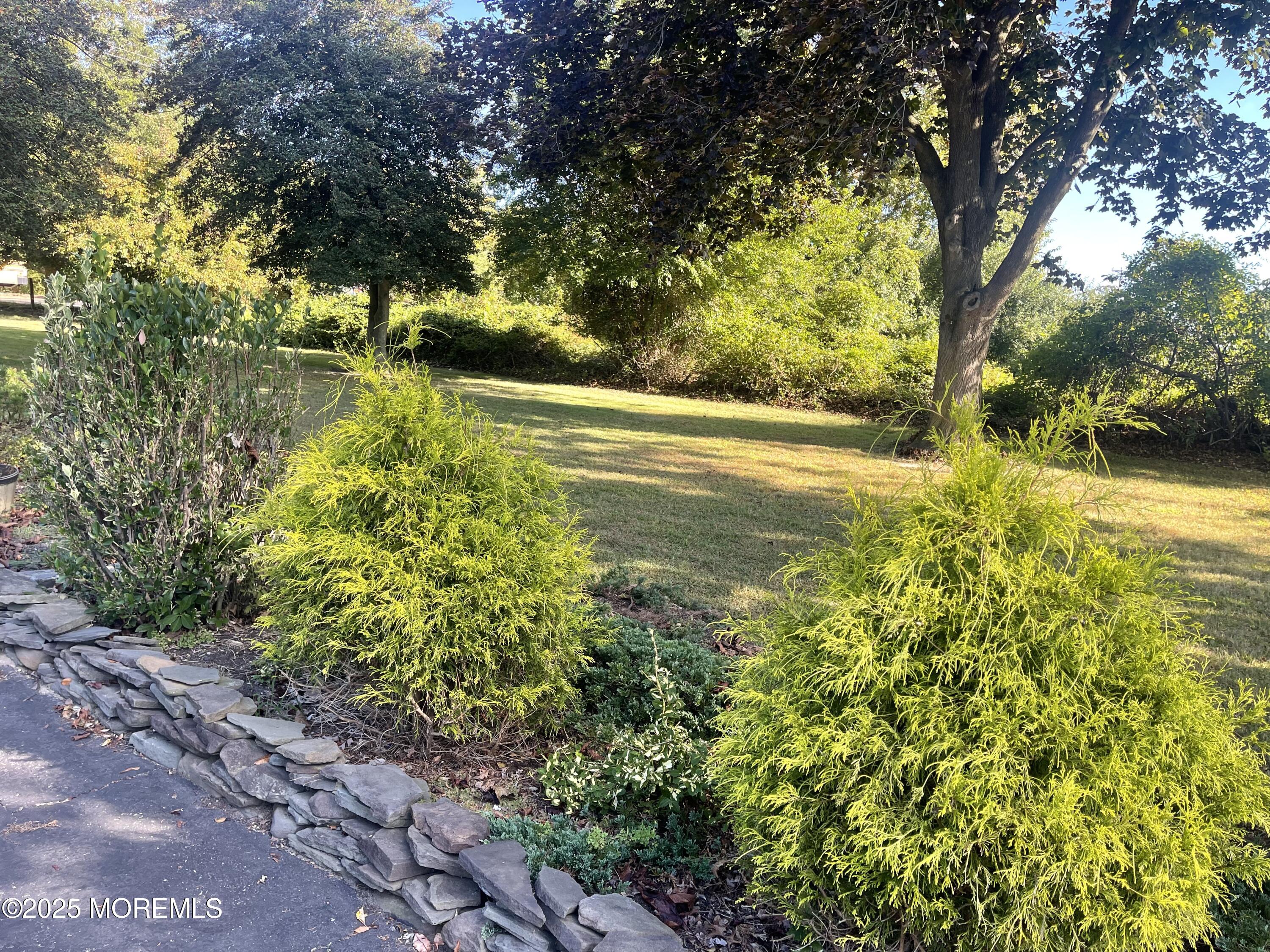 2023 Lanes Mill Road Brick, NJ 08724 - Photo 10 of 40 a view of yard with swimming pool and green space