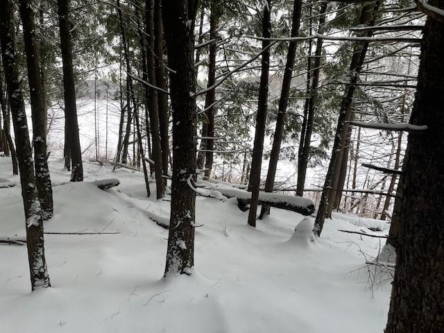 Off Fire Tower Road, Unit 40 AC Watersmeet, MI 49969 - Photo 7 of 37 Gallery Image 7
