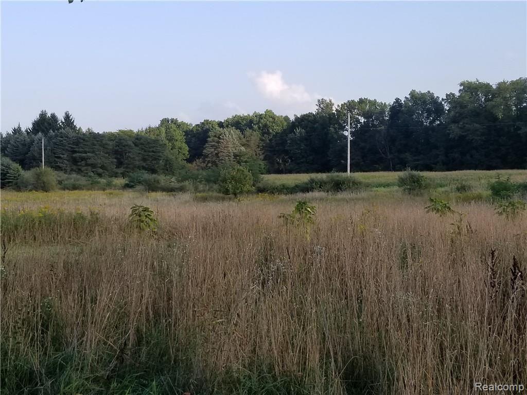 Parcel N Weller Gregory, MI 48137 - Photo 11 of 26