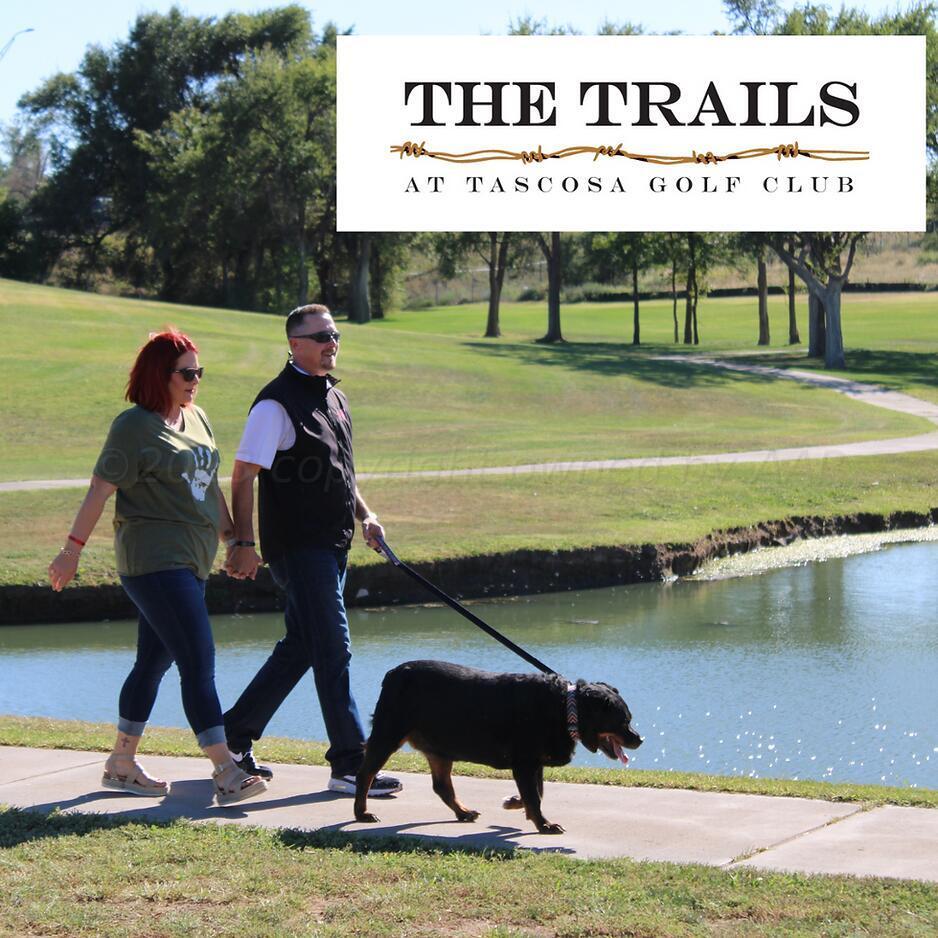 the trails 2