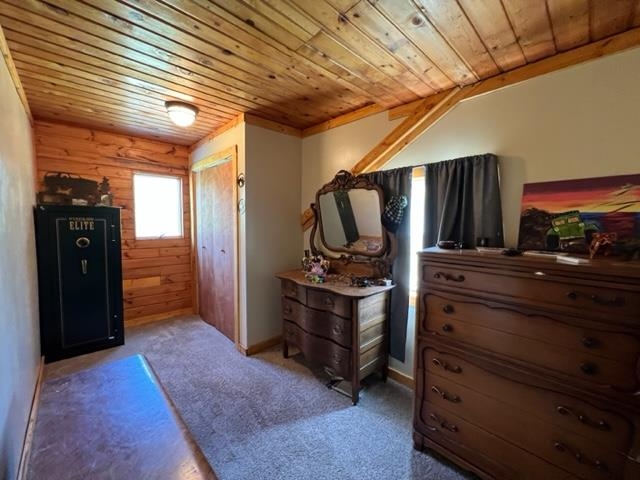 7366 North 47 3/4 Road Manton, MI 49663 - Photo 44 of 78 1911142-44.JPG