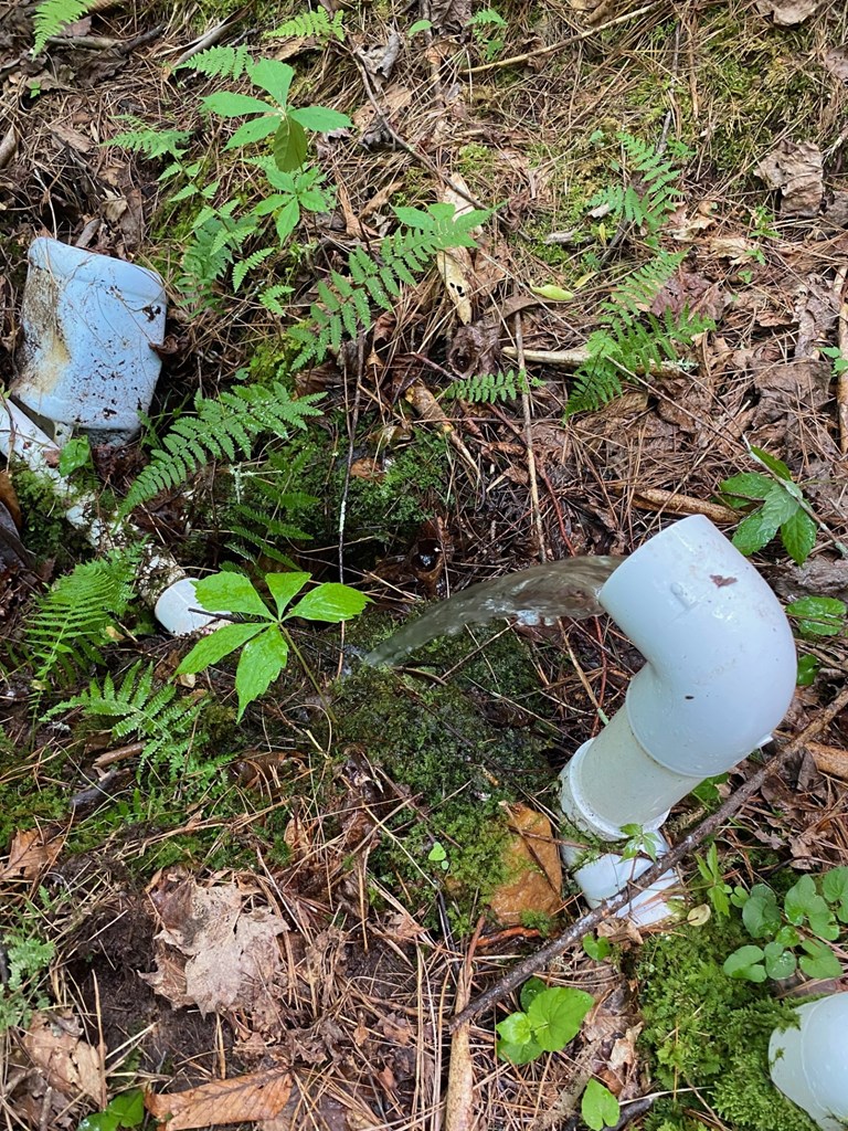 0 Flea Mountain Road Murphy, NC 28906 - Photo 13 of 54 Spring
