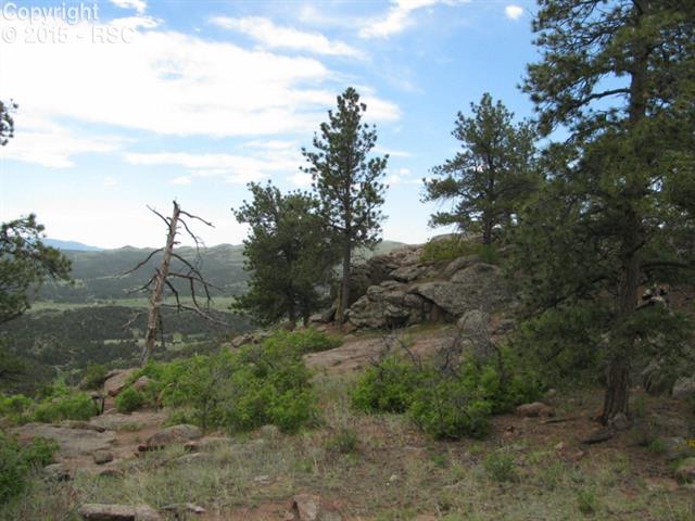 519 Cheyenne Road Florissant, CO 80816 - Photo 13 of 14