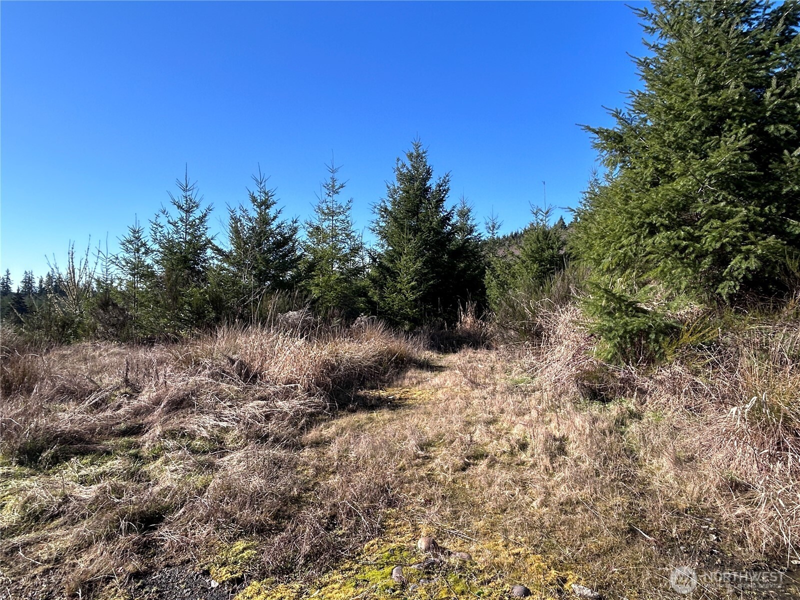 -nka Salmon Creek Road Toledo, WA 98591 - Photo 2 of 12 a view of a lake with a tree in the background