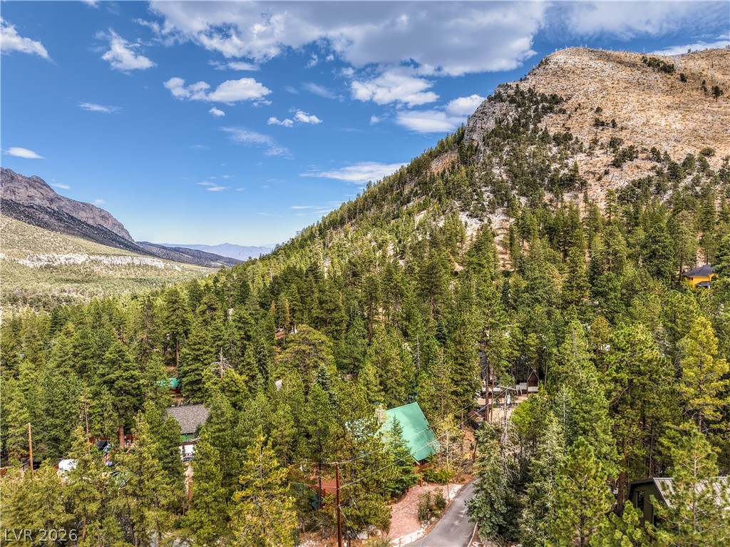 322 Ski Trail Road Mount Charleston, NV 89124 - Photo 49 of 58 Towering pines and rugged mountain slopes frame this secluded alpine valley retreat.