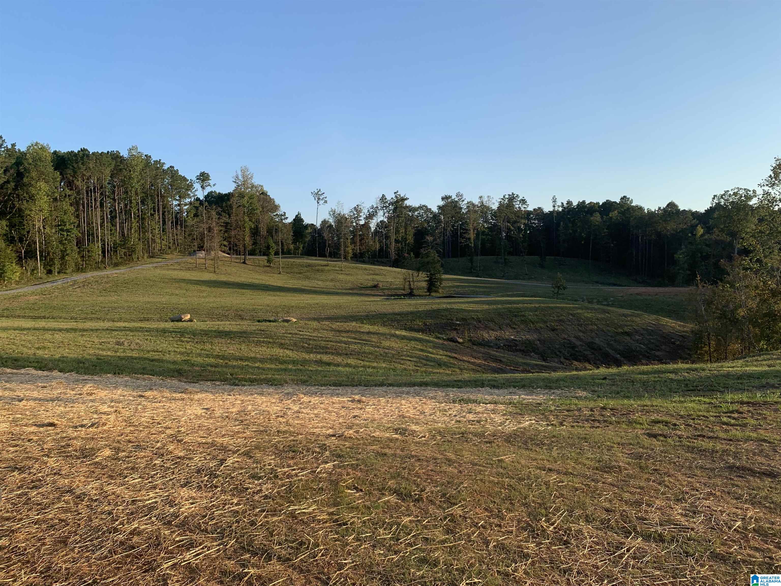 9835 Camp Oliver Road, Unit 1 Adger, AL 35006 - Photo 3 of 18