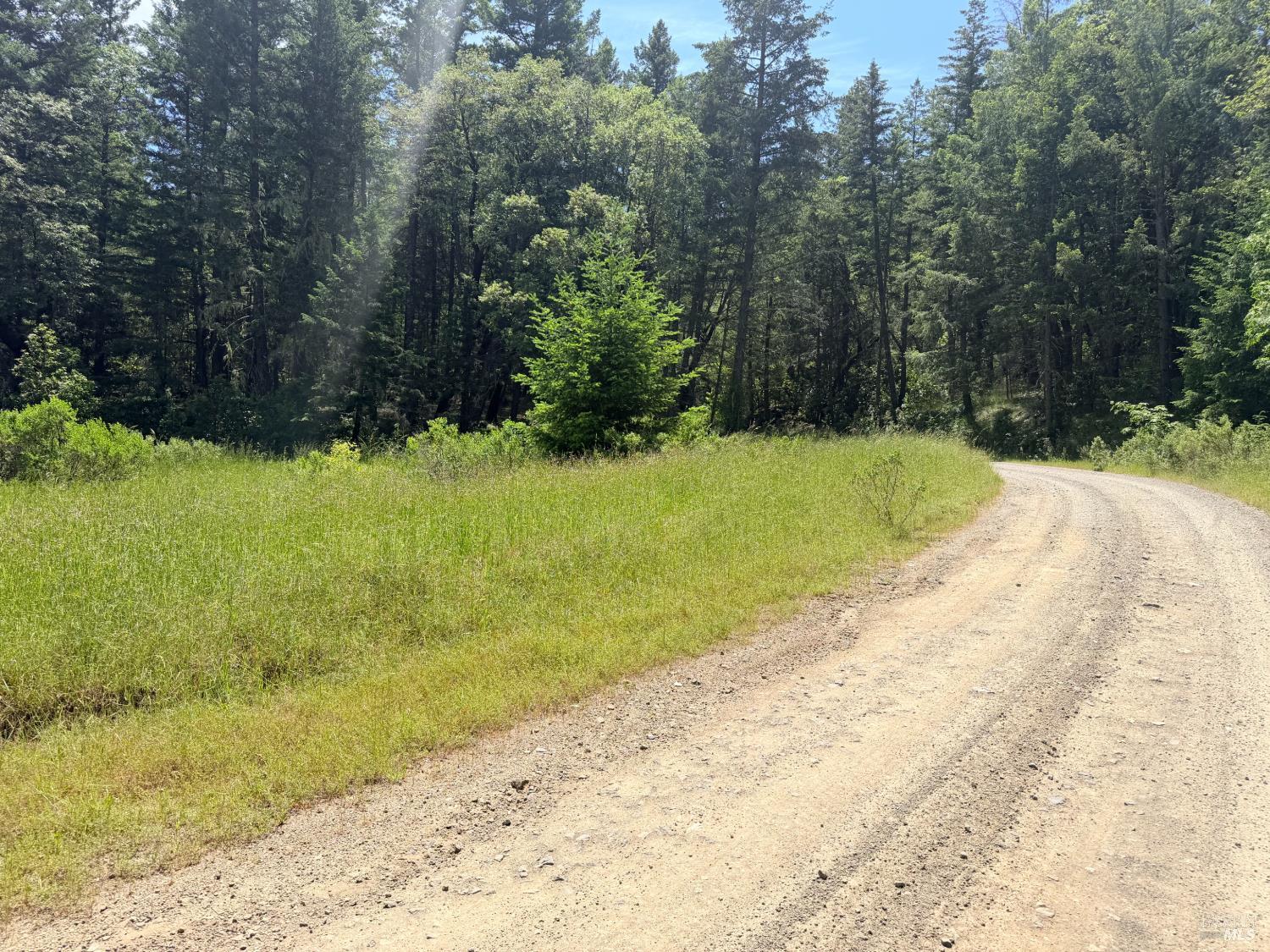 0 Registered Guest Road Laytonville, CA 95454 - Photo 5 of 18