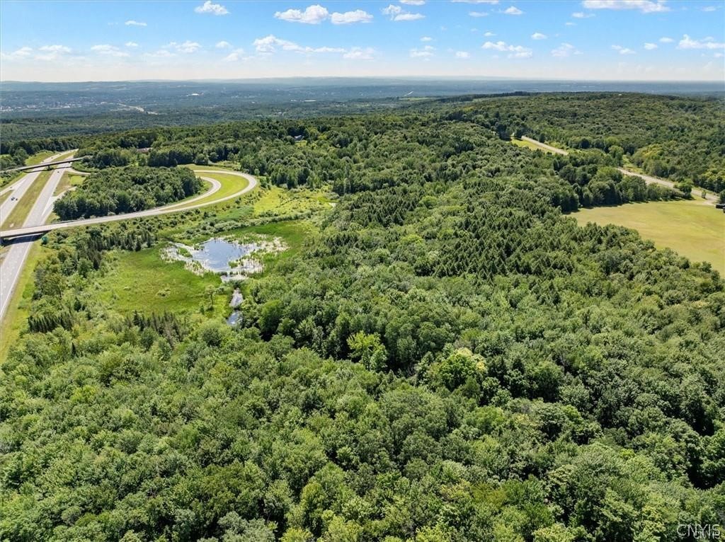 0 Trenton Road Deerfield, NY 13502 - Photo 6 of 24